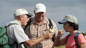 Three share an ice cream