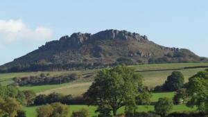 The Roaches
