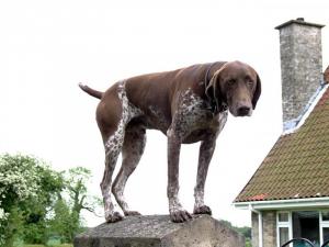 Guard dog - Letwell