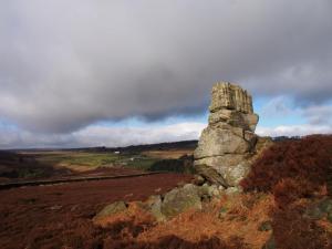 Head Stone