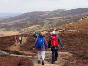 On Derwent Edge