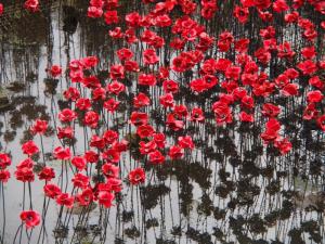 Age shall not weary them, nor the years condemn