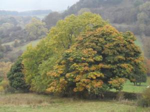 The colours of Autumn