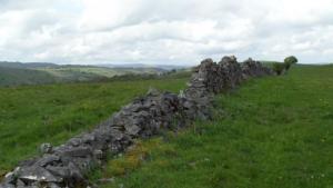 Dry stone snake