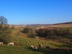 Down Alcomden Water to Walshaw Dean Lower Reservoir