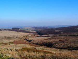 South Dean towards Bronte Bridge