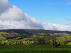 Down over Bilsdale