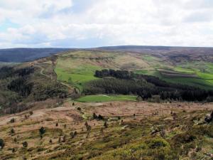 From Urra Moor to Cold Moor