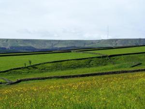Carr Green to Holme Moss