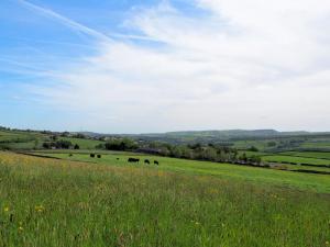 Towards Hullock Bank from New Laith