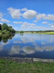 Dog Kennel Pond