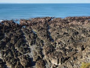 Devon's rugged rocks