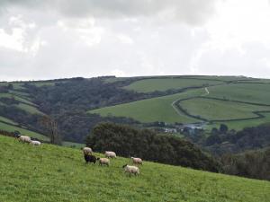 Over Sterridge Valley to Ruggaton Farm