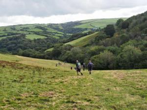 Wander down to Sterridge