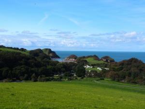 Towards Watermouth