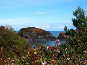 Lovely colour at Watermouth