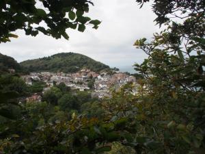 Lynmouth from Summer House Hill