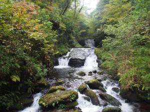 Watersmeet Fall