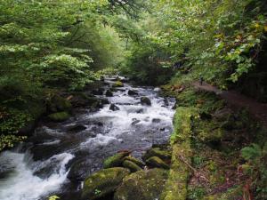 The East Lyn River