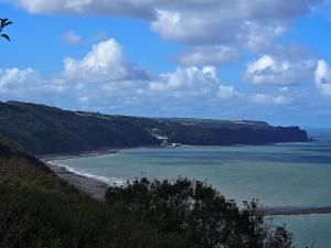 Distant Clovelly