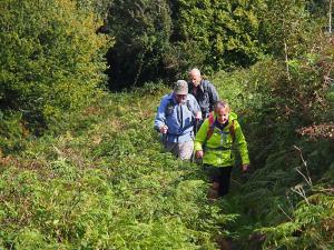Fighting the bracken