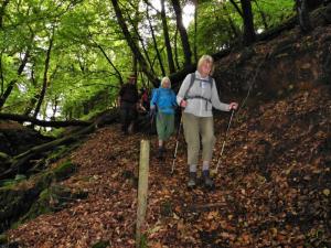 Wary walkers