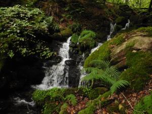 Waterfalls en route to Oaklands