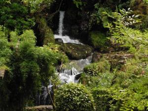 "Oaklands" waterfall, Rockford