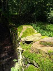 Lovely lichen covered wall