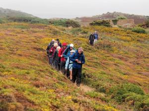 Crossing Ouaisne Common