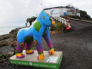 Durrell gorilla at Faulkner Fisheries