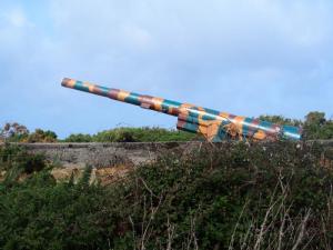 Camouflaged gun on Le Mont es Anes