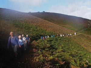Team winds through the bracken