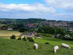 Belper from Chevin Mount