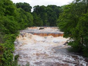 Aysgarth Top Falls 