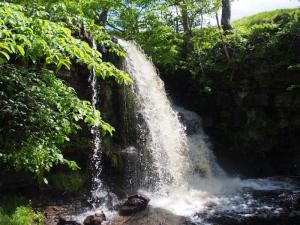 East Gill Falls, Keld