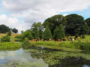 Truly pastoral