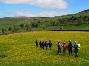 Wow towards Keld