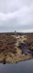 Trig point 