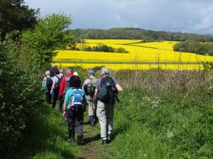 Church Lane out of Letwell