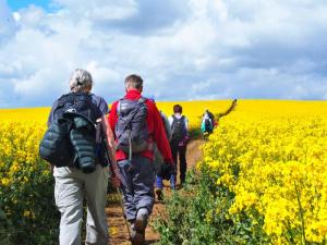 ... as they walked through fields of gold