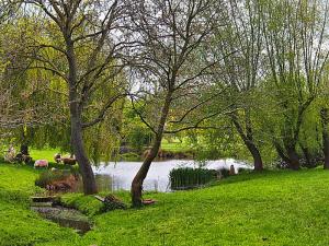 Pond at Thwaite House Bridge