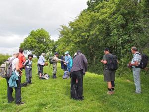 Catch up at Scotgrove Wood