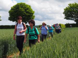 Anne in the lead