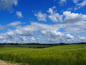 Now there is a vista