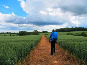 Suzi leads us home