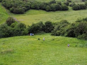 Dots on the landscape