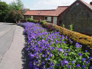 Colours of Tealby 