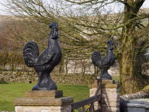The cocks of Sweeknoll