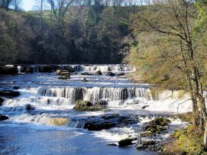 Aysgarth Top Falls from bridge